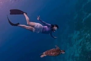 Lombok: Snorkeling privato in 4 punti e avvistamento di piccole tartarughe