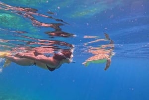 Lombok: Snorkeling privato in 4 punti e avvistamento di piccole tartarughe