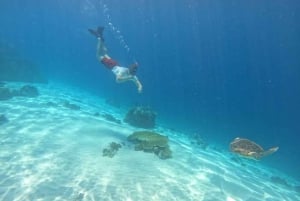 Lombok: mergulho particular com snorkel em 4 pontos e observação de tartarugas bebês