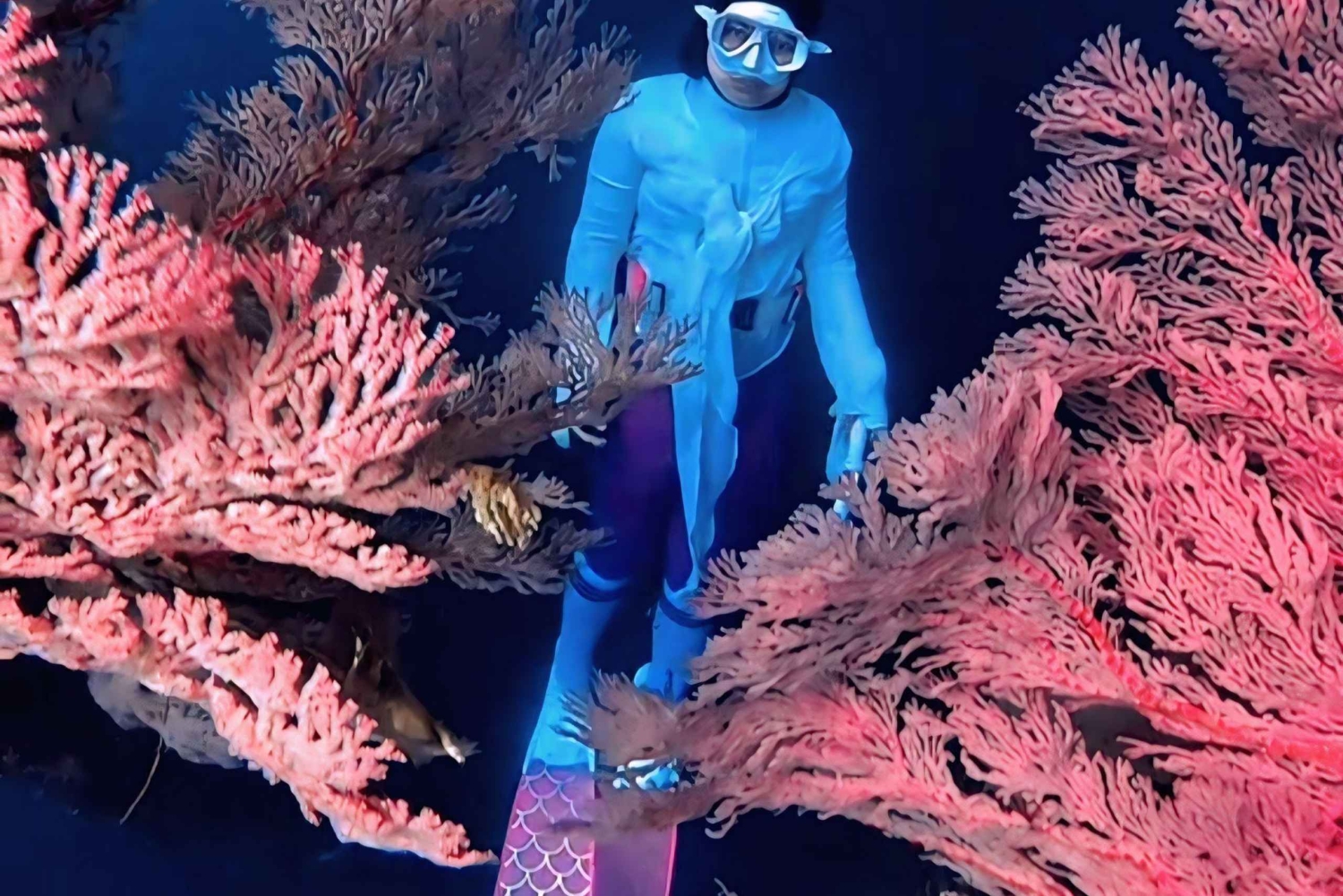 Lombok; Private Snorkeling and Coral Planting at Gili Kondo