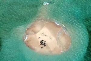 Lombok; Private Snorkeling and Coral Planting at Gili Kondo