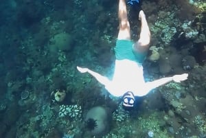 Lombok; Private Snorkeling and Coral Planting at Gili Kondo