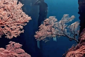 Lombok; Private Snorkeling and Coral Planting at Gili Kondo