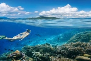 Lombok: Private Snorkeling at 4 Gili Spots with GoPro Camera