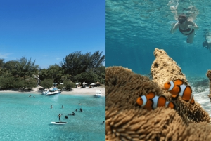 Lombok: Private Snorkeling,Gili Trawangan,Gili Meno,Gili Air