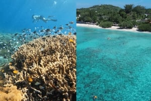 Lombok: Private Snorkeling,Gili Trawangan,Gili Meno,Gili Air