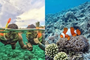 Lombok: Private Snorkeling,Gili Trawangan,Gili Meno,Gili Air