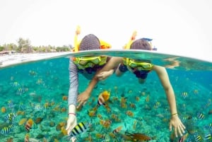Lombok : plongée avec tuba privée, Gili Trawangan, Gili Meno, Gili Air