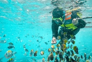 Lombok : plongée avec tuba privée, Gili Trawangan, Gili Meno, Gili Air