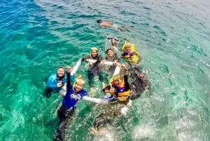Lombok : plongée avec tuba privée, Gili Trawangan, Gili Meno, Gili Air