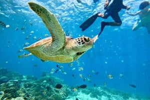 Lombok : plongée avec tuba privée, Gili Trawangan, Gili Meno, Gili Air