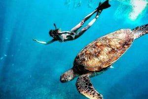 Lombok : plongée avec tuba privée, Gili Trawangan, Gili Meno, Gili Air