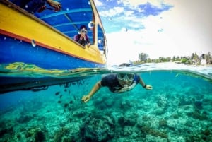 Lombok : plongée avec tuba privée, Gili Trawangan, Gili Meno, Gili Air