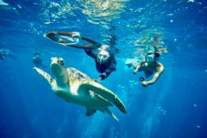 Lombok : plongée avec tuba privée, Gili Trawangan, Gili Meno, Gili Air