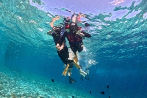 Lombok : plongée avec tuba privée, Gili Trawangan, Gili Meno, Gili Air