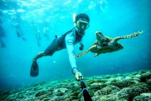 Lombok : plongée avec tuba privée, Gili Trawangan, Gili Meno, Gili Air