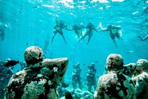 Lombok : plongée avec tuba privée, Gili Trawangan, Gili Meno, Gili Air