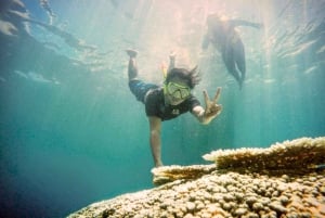 Lombok : plongée avec tuba privée, Gili Trawangan, Gili Meno, Gili Air