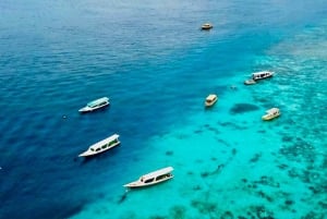 Lombok : plongée avec tuba privée, Gili Trawangan, Gili Meno, Gili Air