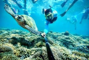 Lombok : plongée avec tuba privée, Gili Trawangan, Gili Meno, Gili Air