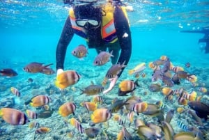 Lombok : plongée avec tuba privée, Gili Trawangan, Gili Meno, Gili Air