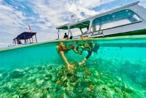 Lombok : plongée avec tuba privée, Gili Trawangan, Gili Meno, Gili Air
