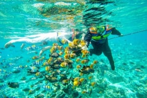Lombok : plongée avec tuba privée, Gili Trawangan, Gili Meno, Gili Air