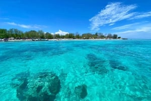 Lombok : plongée avec tuba privée, Gili Trawangan, Gili Meno, Gili Air
