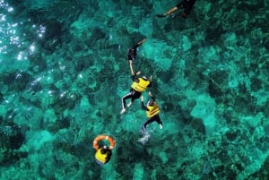 Lombok : plongée avec tuba privée, Gili Trawangan, Gili Meno, Gili Air