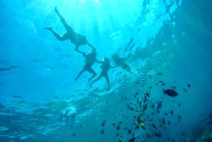 Lombok : plongée avec tuba privée, Gili Trawangan, Gili Meno, Gili Air