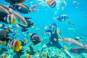 Lombok : plongée avec tuba privée, Gili Trawangan, Gili Meno, Gili Air