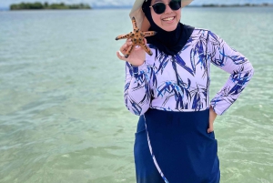 Lombok: Exklusiva Gili Pasir & Gambir och Pink Beach