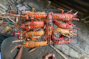 Lombok: Exklusiva Gili Pasir & Gambir och Pink Beach