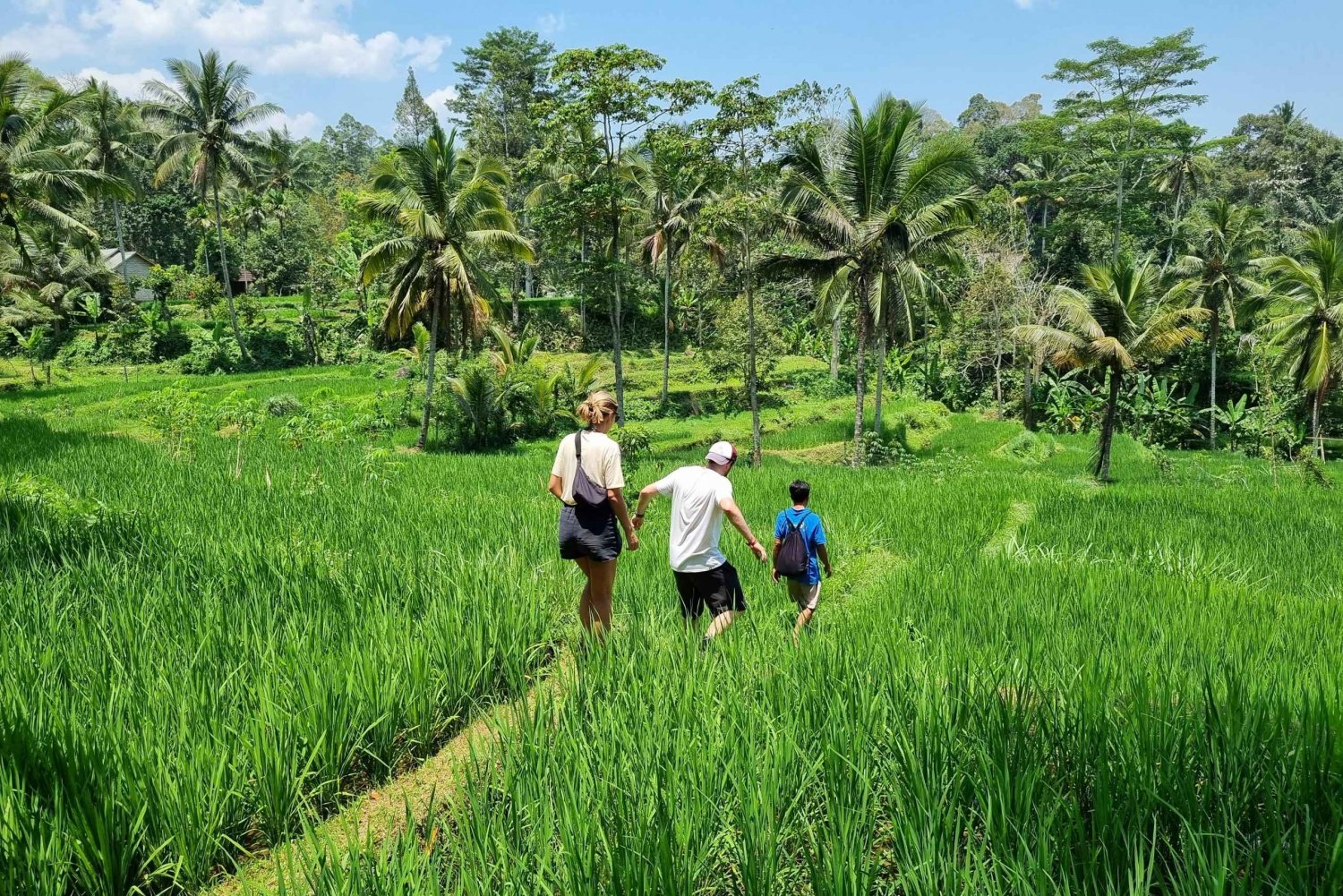 Lombok: Wycieczka piesza po tarasach ryżowych i wodospad Benang Kelambu