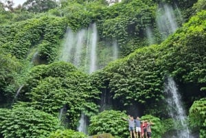 Lombok: Excursão a pé pelos terraços de arroz e cachoeira Benang Kelambu
