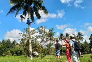 Lombok: Excursão a pé pelos terraços de arroz e cachoeira Benang Kelambu