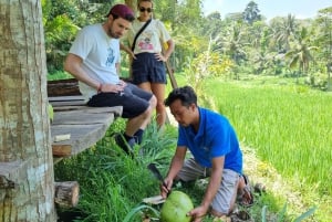 Lombok: Tour a pie por las terrazas de arroz y la cascada de Benang Kelambu