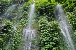 Lombok: Vandringstur på risterrass & vattenfallet Benang Kelambu