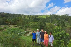 Lombok: Tour a piedi delle terrazze di riso e cascata di Benang Kelambu