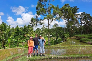 Lombok: Tour a piedi delle terrazze di riso e cascata di Benang Kelambu