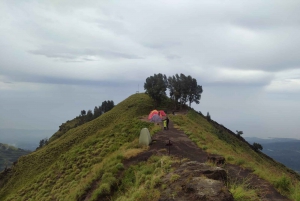 Lombok: Excursión a la cumbre del Rinjani y acampada en la selva por Sembalun