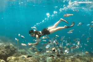 Lombok: Romantisk ø-ferie – Gili Nanggu, Sudak og Kedis