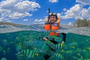 Lombok: Romantisk ø-ferie – Gili Nanggu, Sudak og Kedis