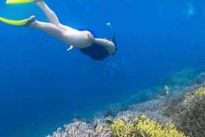 Lombok: Romantisk ø-ferie – Gili Nanggu, Sudak og Kedis