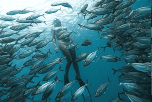 Lombok: Romantisk ø-ferie – Gili Nanggu, Sudak og Kedis