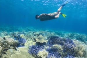 Lombok: Romantisk ø-ferie – Gili Nanggu, Sudak og Kedis