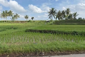Lombok: Sasak-byar, keramik och sydstranden