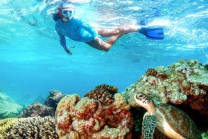 Lombok: Secluded Gilis Discovery Tour (incl. Lunch)