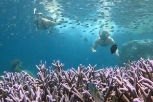 Lombok Secret Gili & Southwest Snorkelling Trip