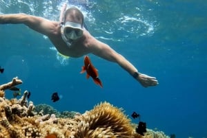 Lombok Secret Gili & Southwest Snorkelling Trip